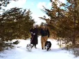 Two people walking dogs on a snowy trail