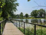 The Springside/Conservation Park boardwalk in the summer 
