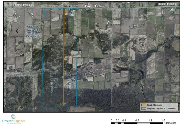 Map showing road allowance and neighbouring lot and concession