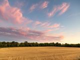 A sunset over a field 